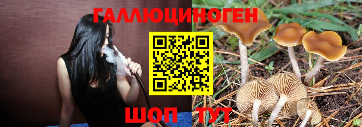 купить наркоту  Псилоцибиновые грибы Psilocybine cubensis  Лесосибирск  Вход с VPN  Галлюциногенные грибы ЛСД 
