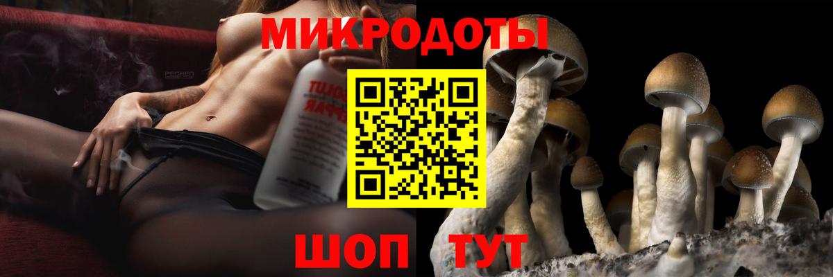 Галлюциногенные грибы GOLDEN TEACHER Лесосибирск